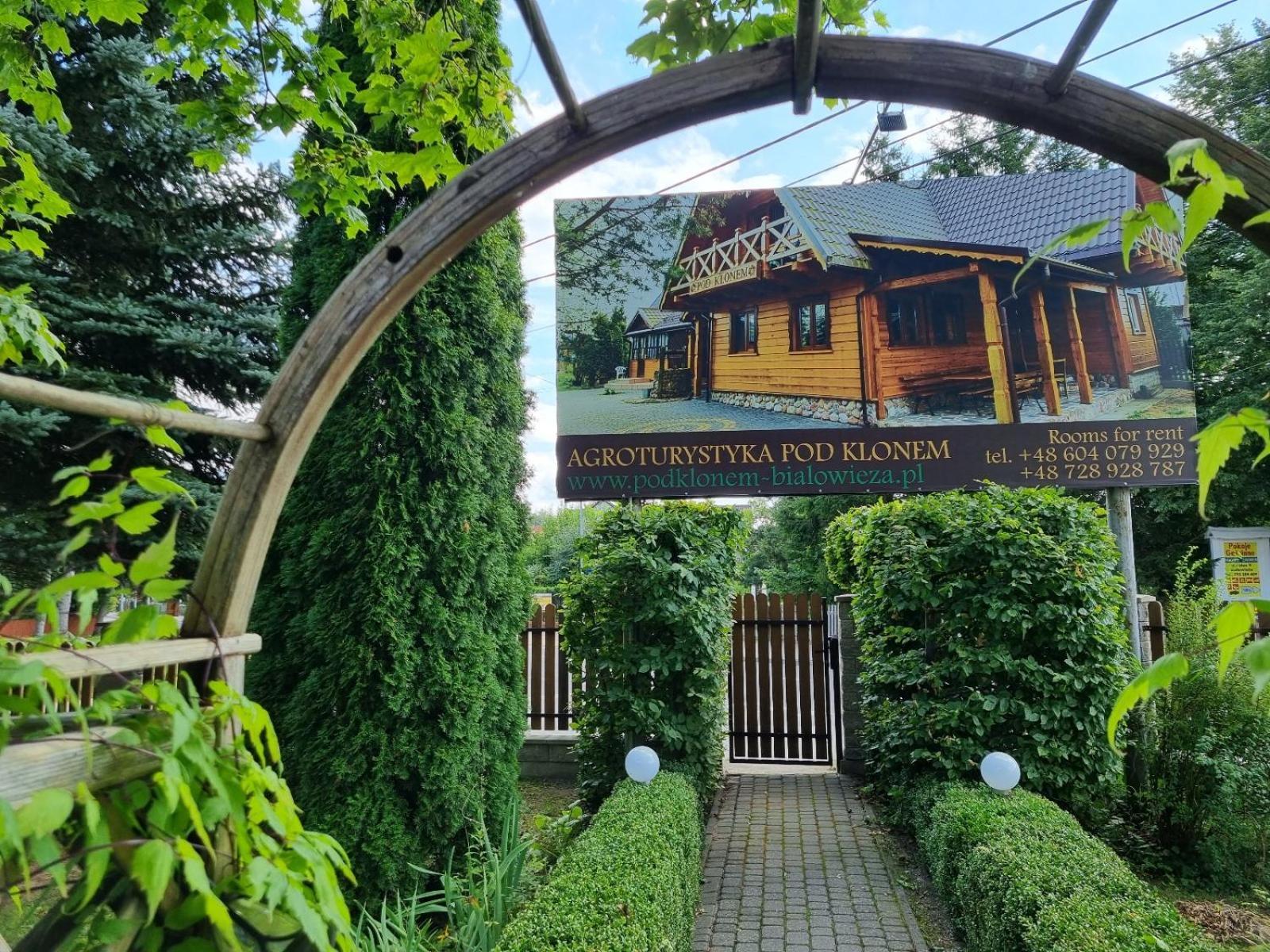 Domek Pod Klonem Agroturystyka Bialowieza Bagian luar foto